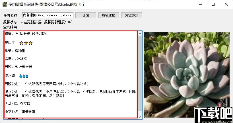多肉数据查询系统下载,数据查询,植物种植