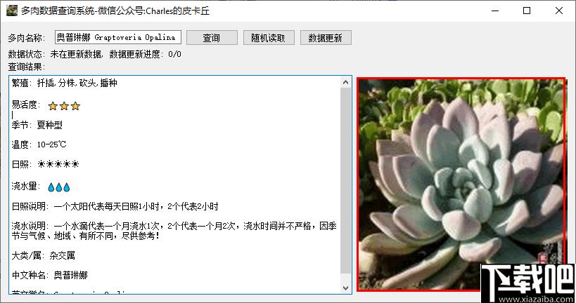 多肉数据查询系统下载,数据查询,植物种植