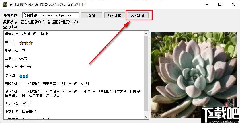 多肉数据查询系统下载,数据查询,植物种植